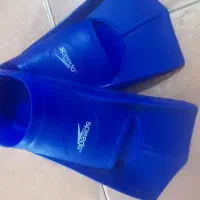 کفش شنا (فین شنا)