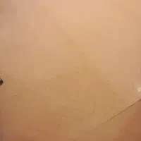 موکت نو ساده