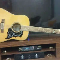 گیتار 12 سیم اکوستیک ( اتیقه و تک)