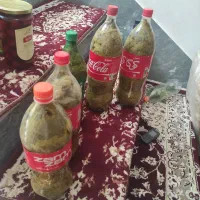 برگ انگور