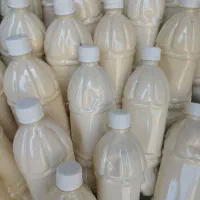 کشک گوسفندی