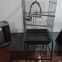 فروش قفس
