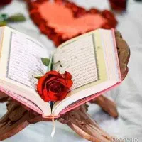 سرکتاب رایگان