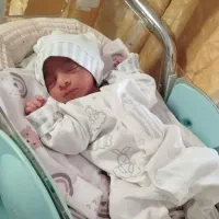 رحم جایگزین اهدا تخمک
