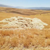 کاه جو