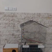 قفس بزرگ