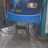 قفس پرنده