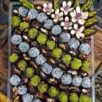 خرما و حلوا و شیرینی برا مراسم ختم