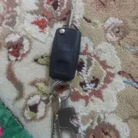 یه دست کلیدپژو