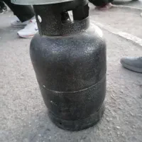 پکنیک دوقلو سالم
