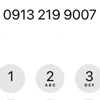 0913.219.9007