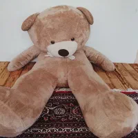 خرس قهوه ای بزرگ
