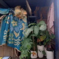 اثاث کشی ظریف کارساری
