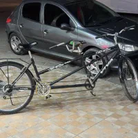 دوچرخه دونفره ویوا