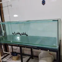 آکواریوم ماهی