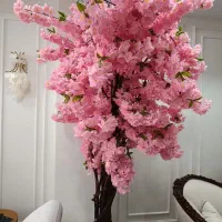 درخت گل بهاری«صورتی» با تنه طبیعی