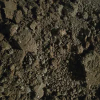 خاک باغچه