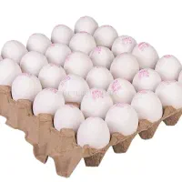 تخم مرغ فله غنی شده ۹۵۰۰۰ تومان