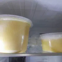 روغن حیوانی )دنبه )