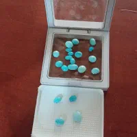 فیروزه اصل  نیشابوری خوشرنگ