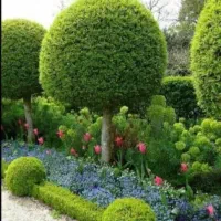 خدمات باغبانی و باغچه (0 تا 100)
