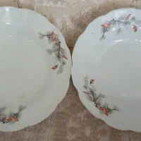 پلوخوری وپیشدستی وخورشت خوری