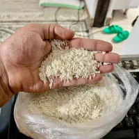 برنج هاشمی / مستقیم از شالیزار خودمون