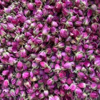 به ۲ادمین خانم جهت فروش و خرید و تبلیغات اینترنتی