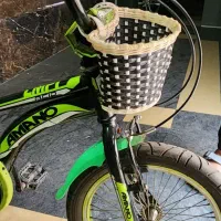 دوچرخه در حد نو و خوش رنگ