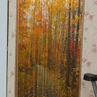 پرده ورودی شرشرای
