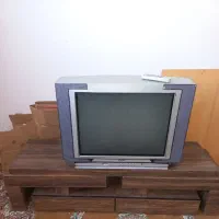 تلوزیون