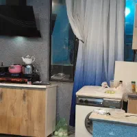 همخانه ارام و بی حاشیه