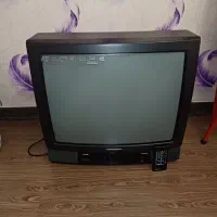 تلویزیون