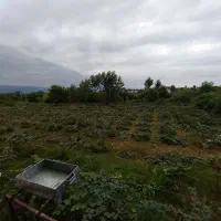 سوئیت نزدیک ساحل بدون اتاق