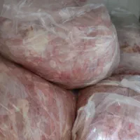 بچه فیله