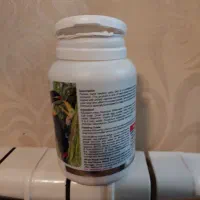 سرلاک جوجه پرنده