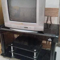 تلویزیون