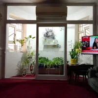 درب ویترینی