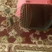 یک عددباکس یا باگربه تازه در سهند