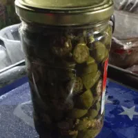 کبرو. وهنگو