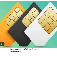 فروش سیم کارت همراه اول صفر  کد 7