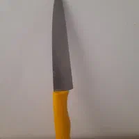 قصابی درب منزل