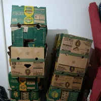 کارتن موز کاملا سالم