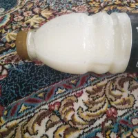 لبنیات محلی و   ارگانیک