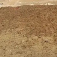 کود گوسفندی بیکندی بیابانی خالص