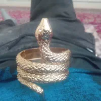 مار برنجی یا برنزی