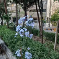 جنب اکباتان 80metri دوخواب ۱۸ساله املاک بهنام