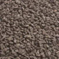 فروش سیاه دانه