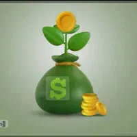 سرمایه از من و کار از شما