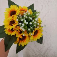 کرایه گل برای فرمالیته